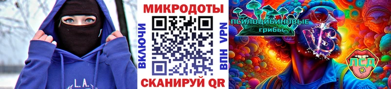 blacksprut маркетплейс  Сургут  Галлюциногенные грибы Cubensis 