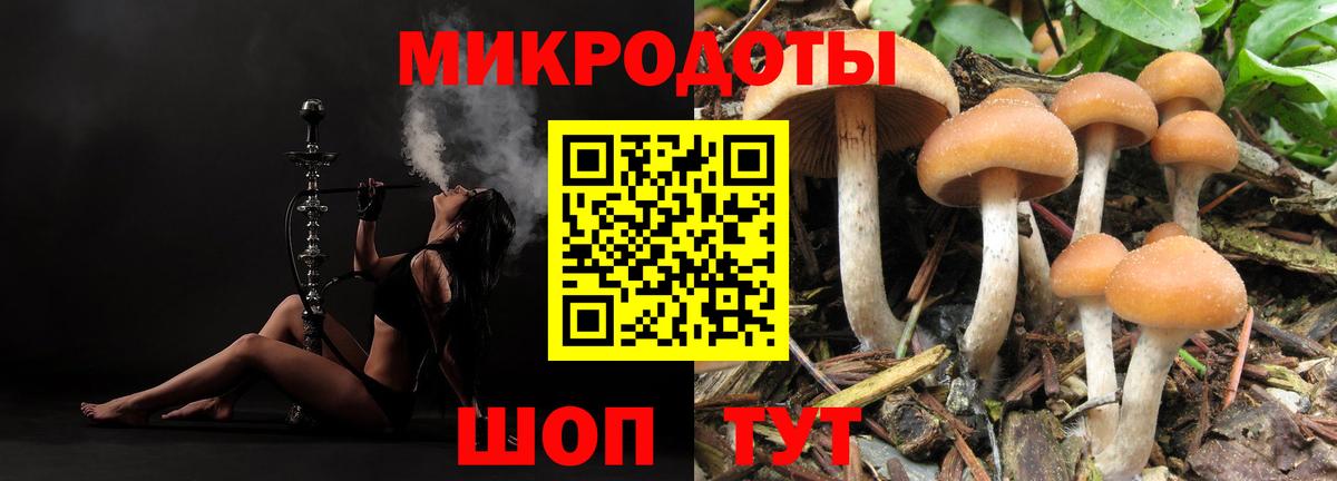 Псилоцибиновые грибы Cubensis Сургут