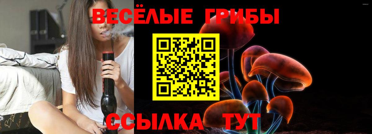 закладки  Вход с VPN  Псилоцибиновые грибы мухоморы  Сургут  Галлюциногенные грибы Cubensis 